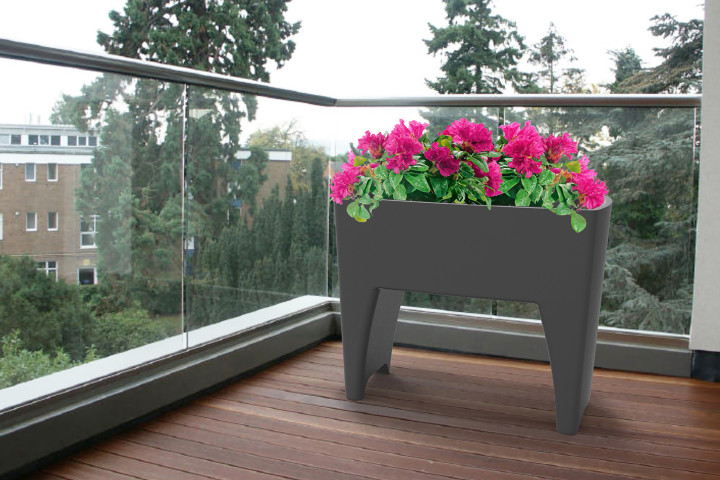 Horta